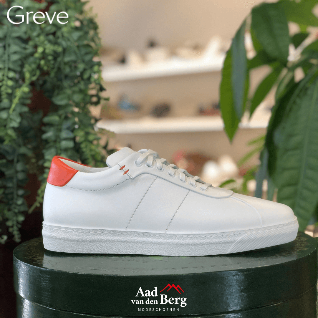 Greve sneaker