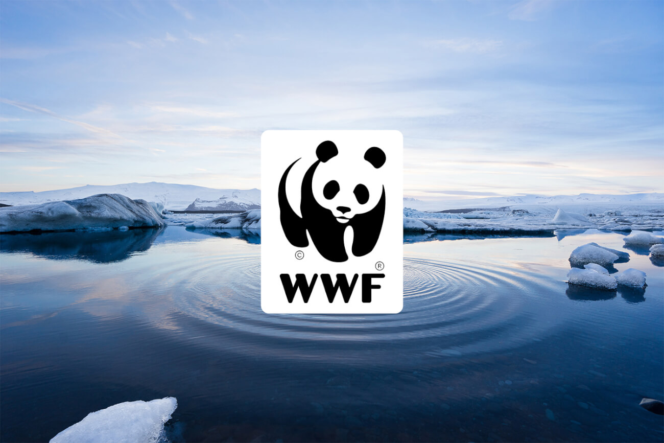 Glacial en WWF