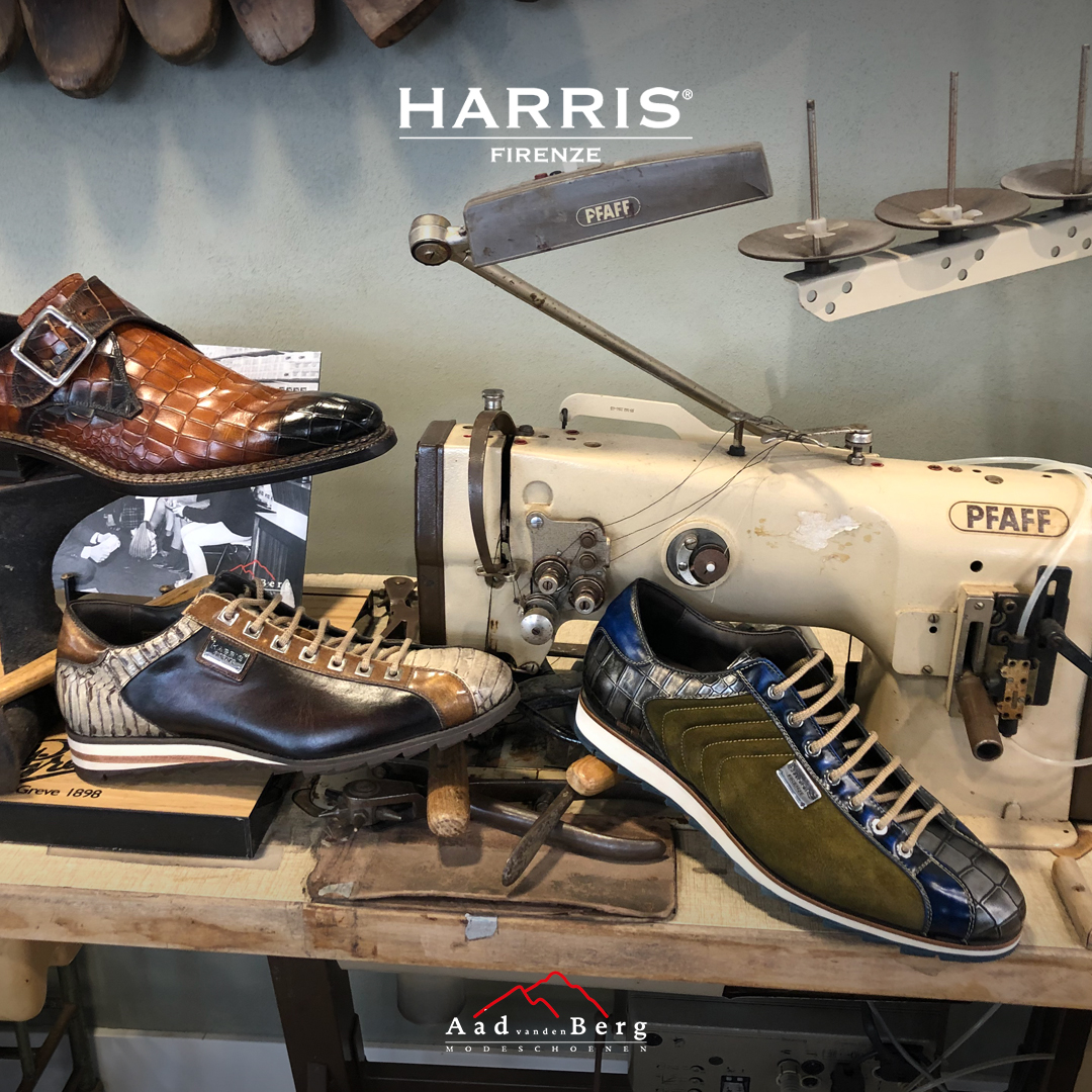 Heel Dwang Pardon Harris en Magnanni bijzondere schoenen | Aad van den Berg modeschoenen