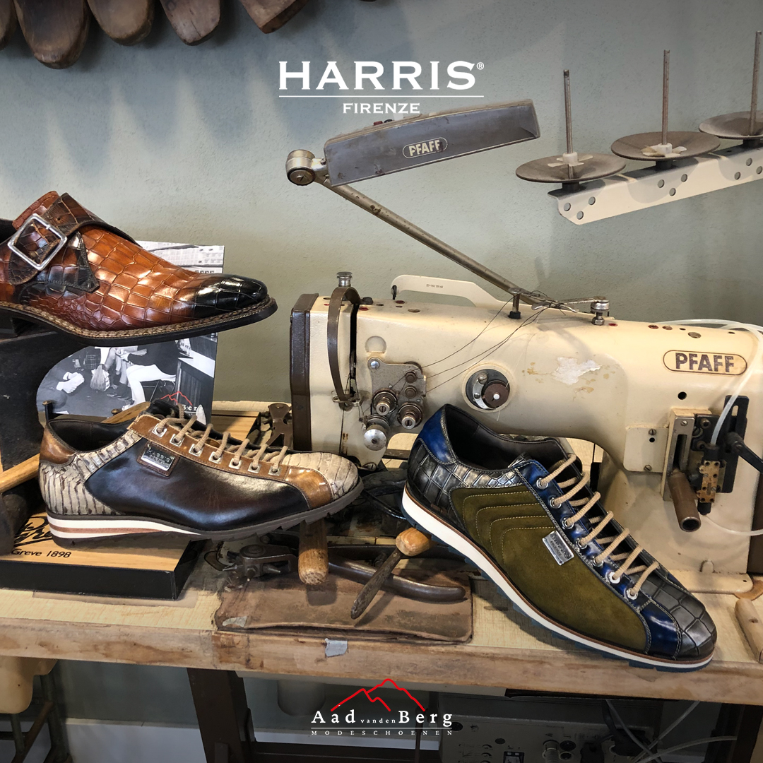 Harris sneakers