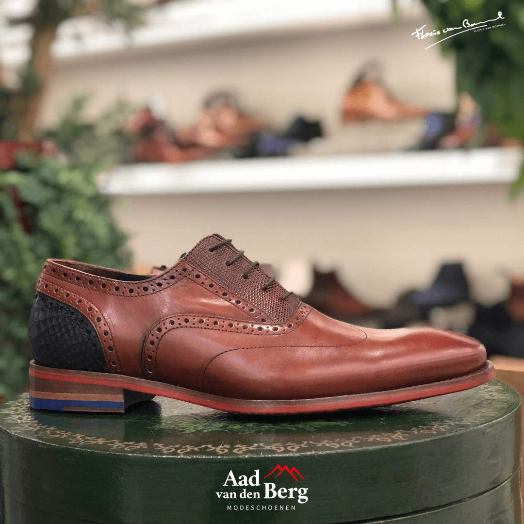 Floris van Bommel Herenschoenen Veterschoenen bruin Aad van den Berg modeschoenen