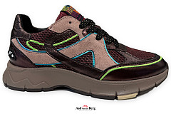 Floris van Bommel Damesschoenen Sneakers bordeau