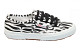 big zebra white