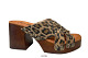 leopardo