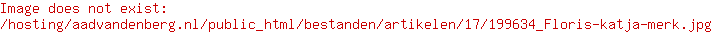Aad van den Berg modeschoenen